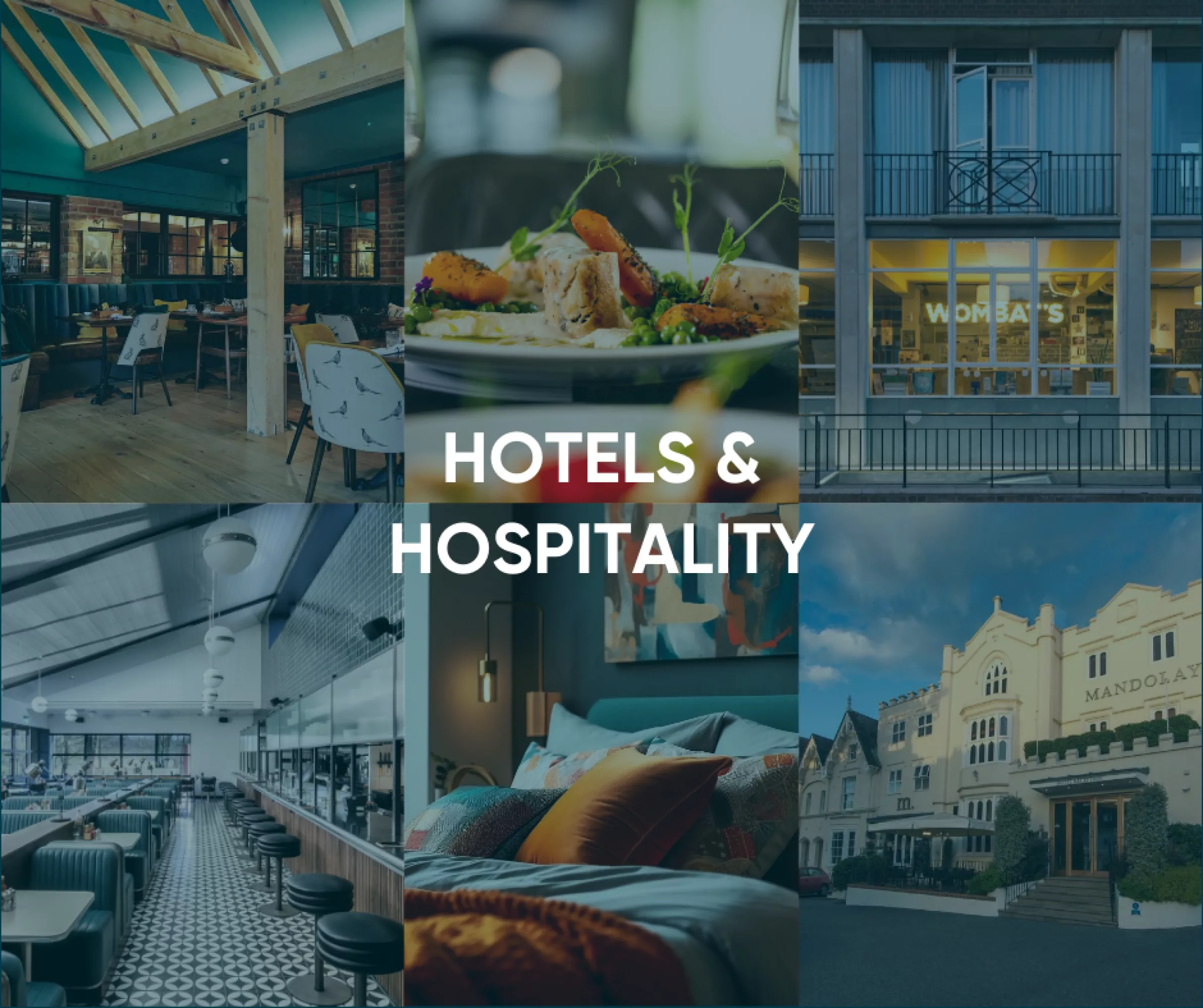 Sector Spotlight Image