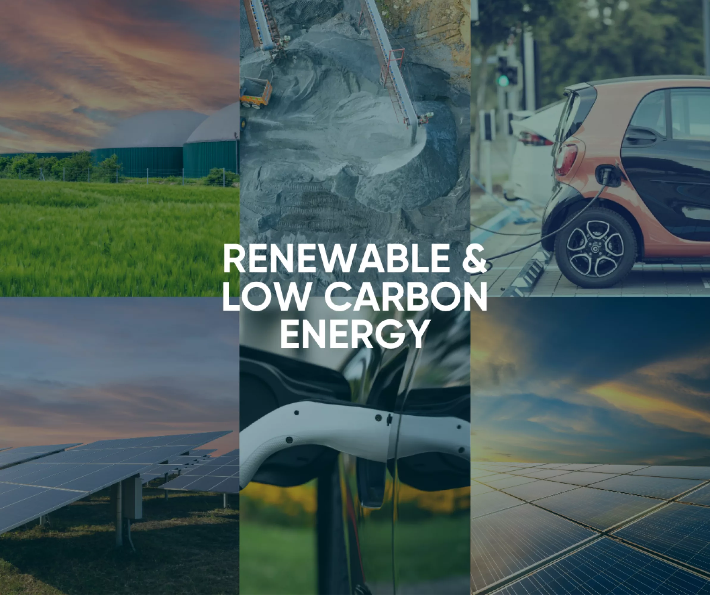 Sector Spotlight Image 1