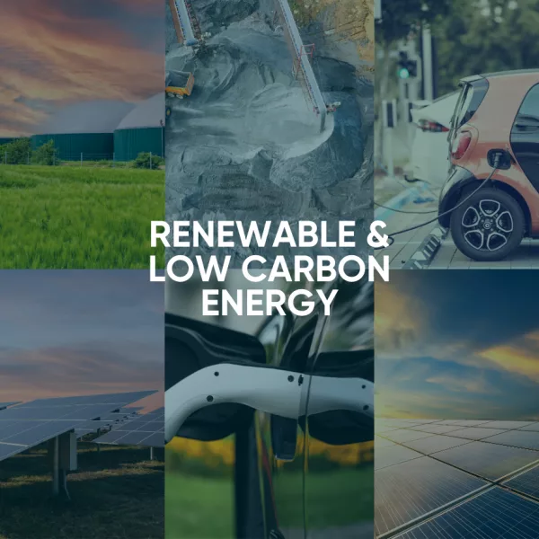 Sector Spotlight Image 1